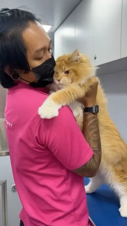 Happy Puppy groomer holding a ginger cat after grooming