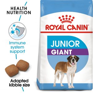 royal canin junior beagle
