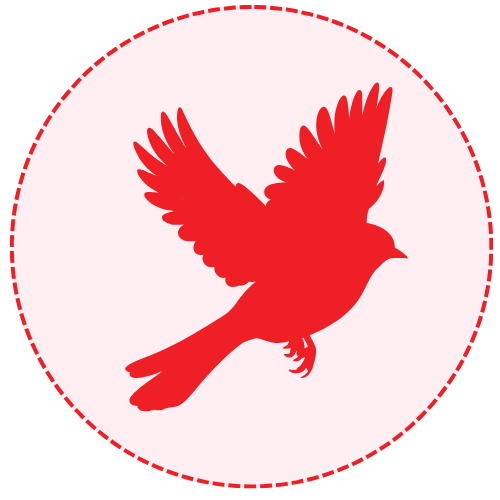 bird health monitoring